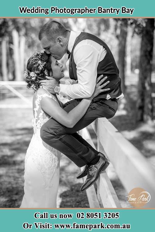 Photo of the Groom sitting on the fence while kissing the Bride at the forehead Bantry Bay NSW 2087