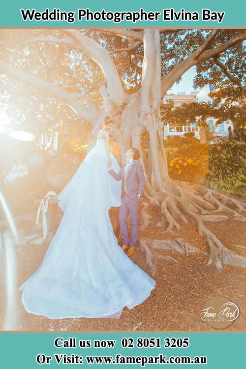 Photo of the Bride and the Groom looking each other besides the tree Elvina Bay NSW 2105