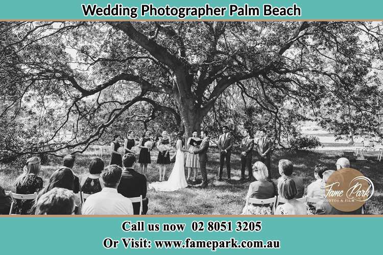 Wedding ceremony under the big tree Palm Beach NSW 2108